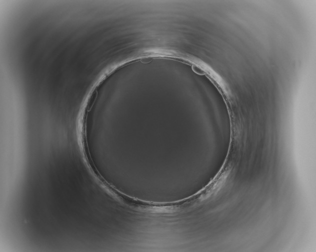 X0000101401381200807211025