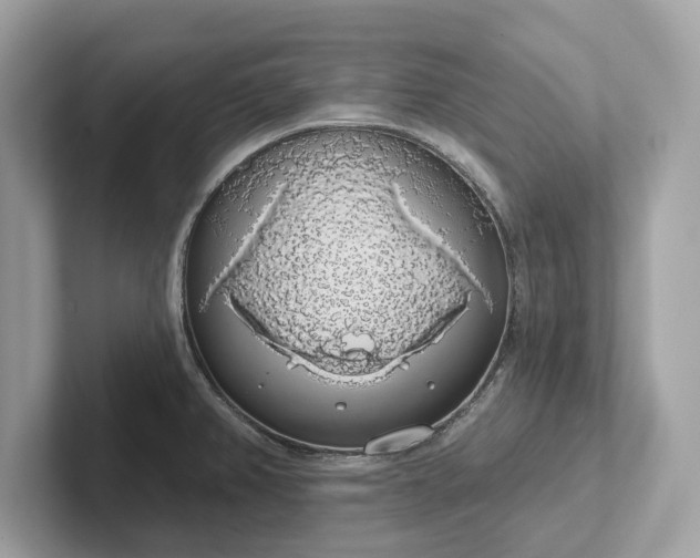 X0000101401382200807211025