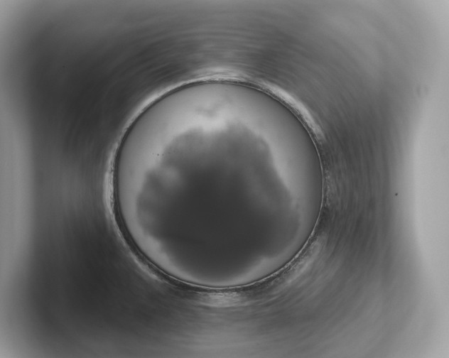 X0000101401383200807211025