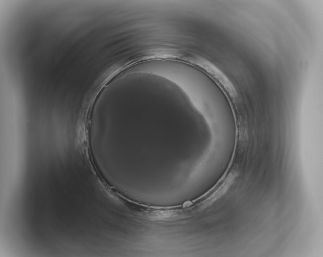 X0000101401385200807211025