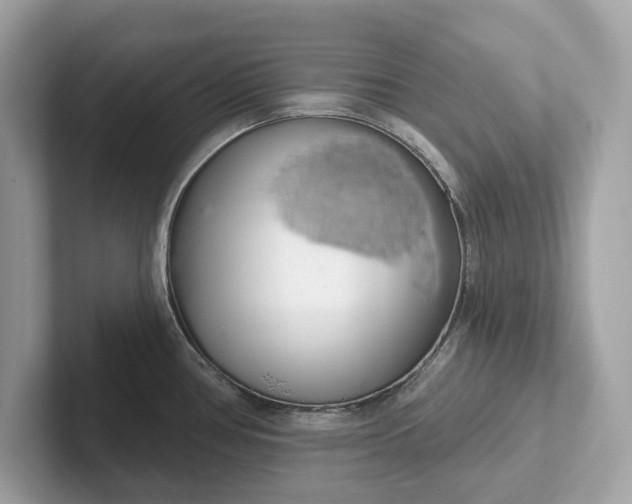 X0000101401386200807211025