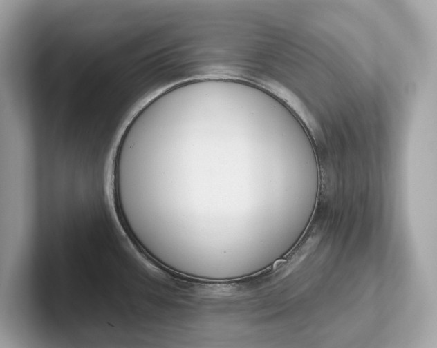 X0000101401387200807211025