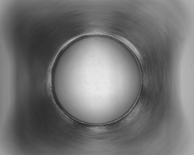 X0000101401388200807211025