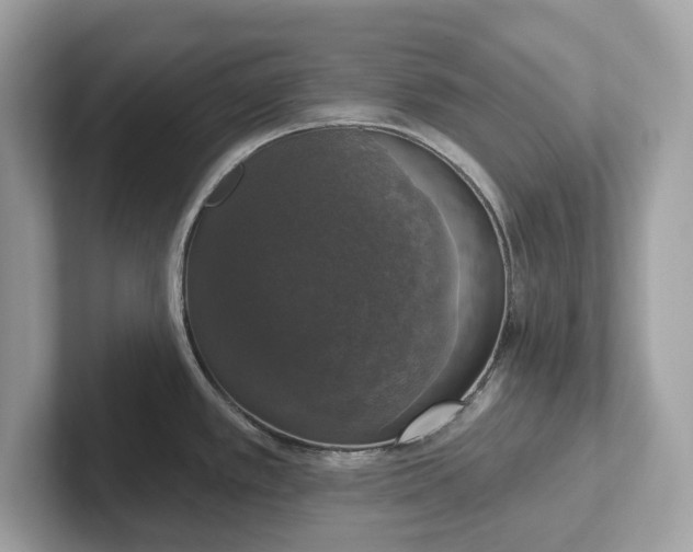 X0000101401389200807211025