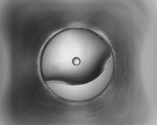 X0000101401392200807211024