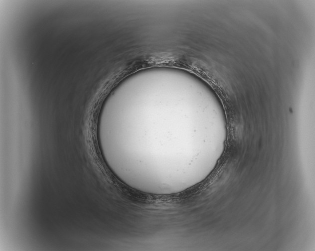 X0000101401393200807211024