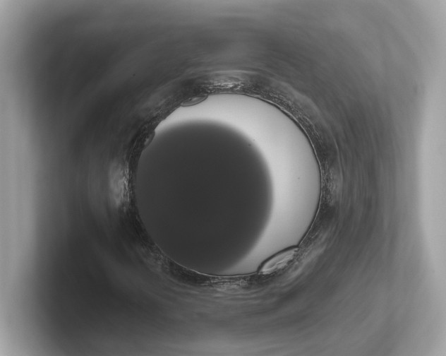 X0000101401394200807211024