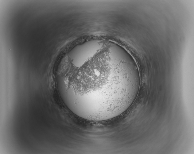 X0000101401398200807211024