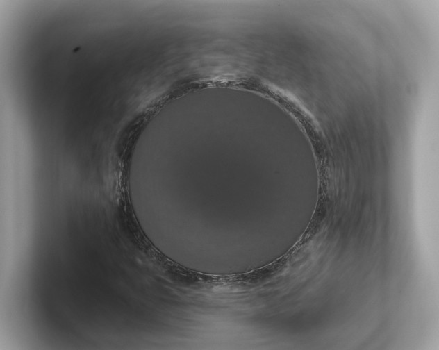 X0000101401399200807211024