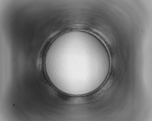 X0000101401402200807211024