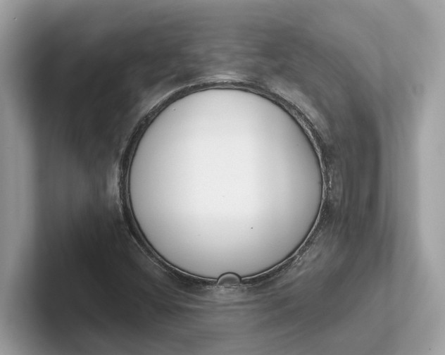 X0000101401404200807211024