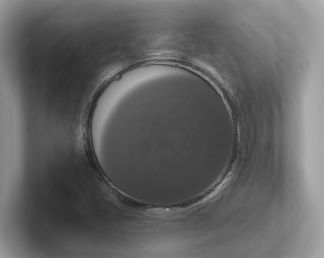 X0000101401405200807211024