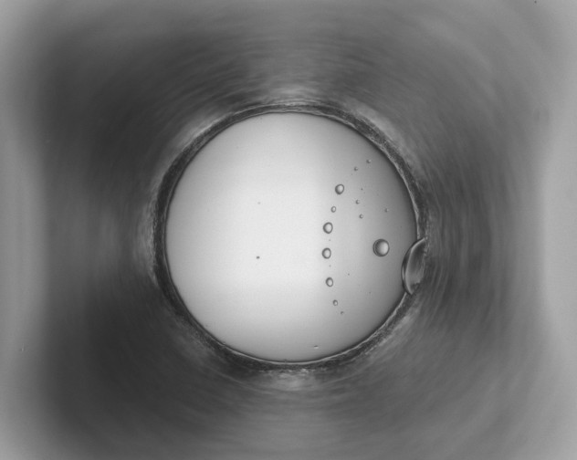 X0000101401410200807211024