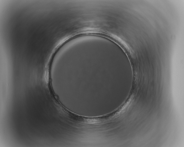 X0000101401413200807211024