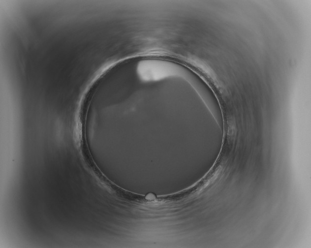 X0000101401414200807211024