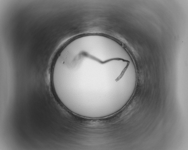 X0000101401416200807211024