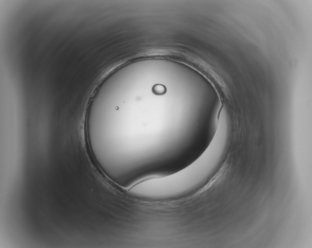 X0000101401417200807211024