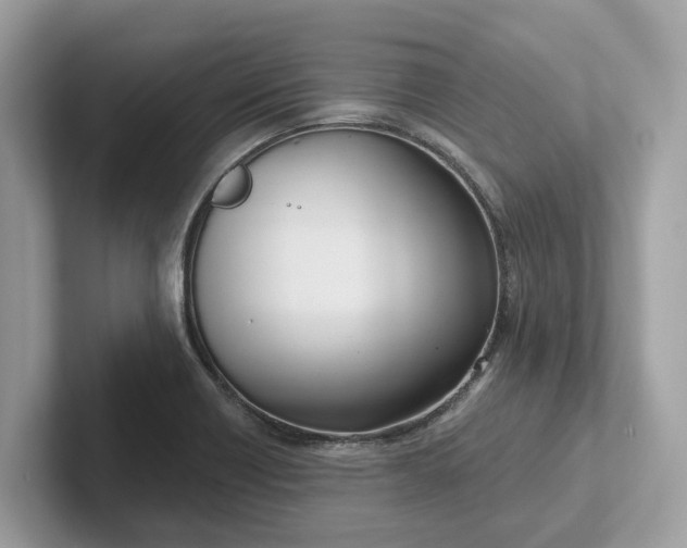 X0000101401418200807211024