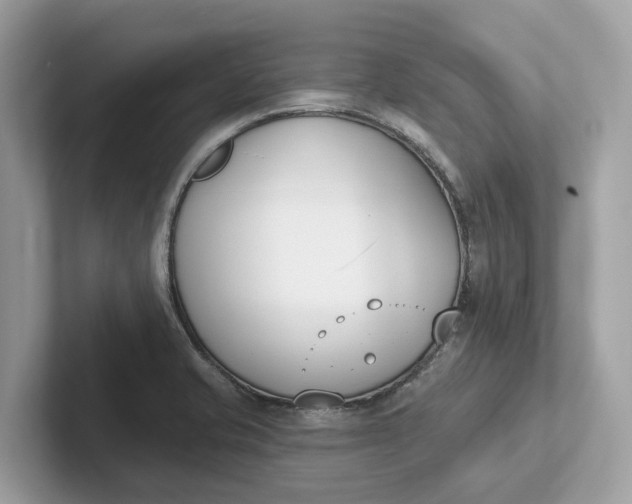 X0000101401421200807211024