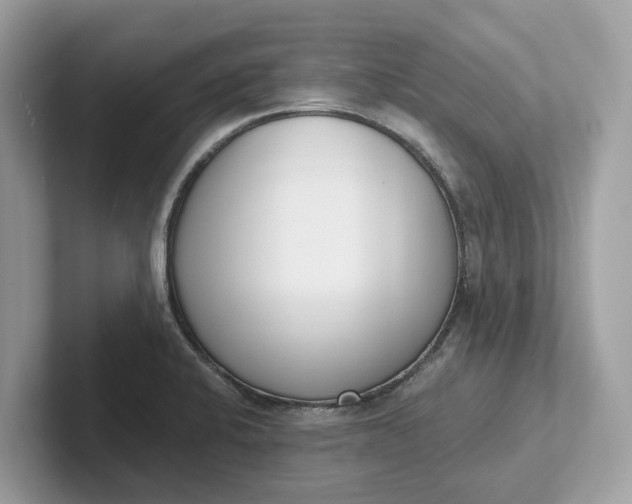 X0000101401424200807211024