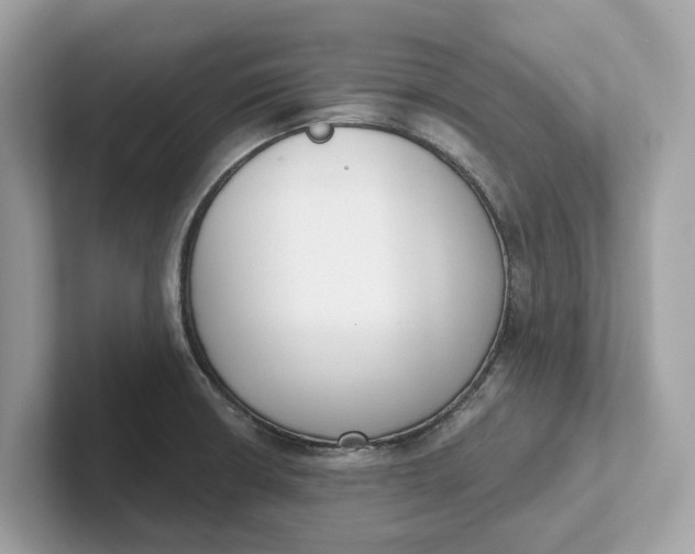 X0000101401426200807211024