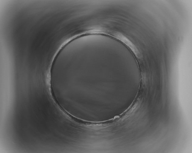 X0000101401428200807211024