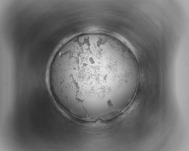 X0000101401429200807211024