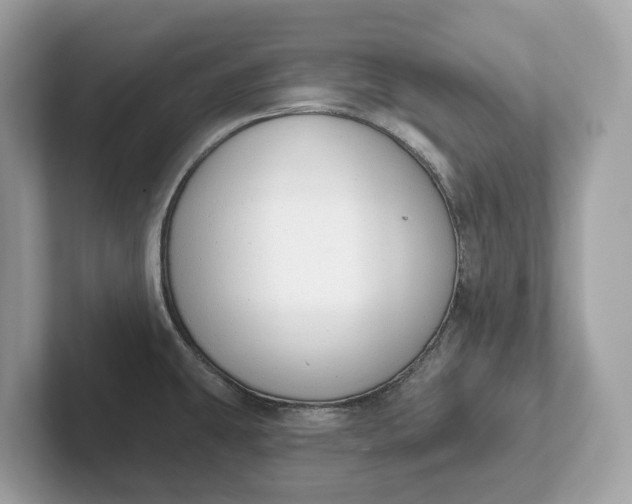 X0000101401431200807211024