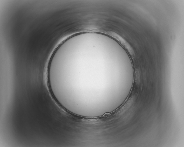 X0000101401432200807211024