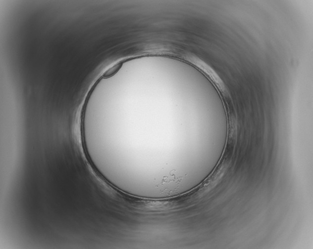 X0000101401439200807211024