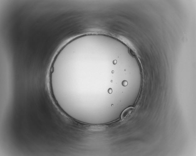 X0000101401440200807211024