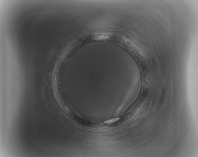 X0000101401441200807211024