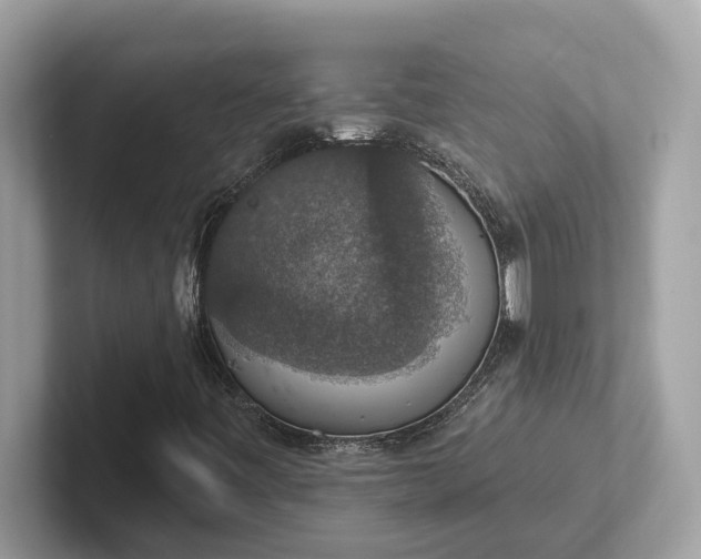 X0000101401443200807211024