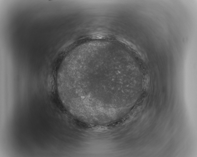 X0000101401446200807211024