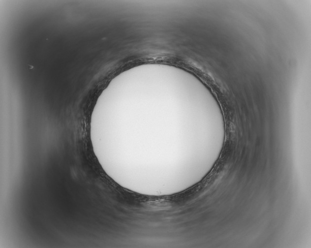 X0000101401447200807211024