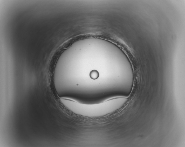 X0000101401448200807211024