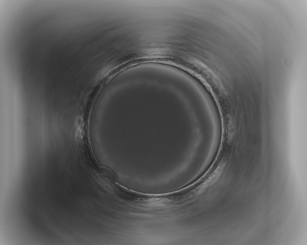 X0000101401449200807211024