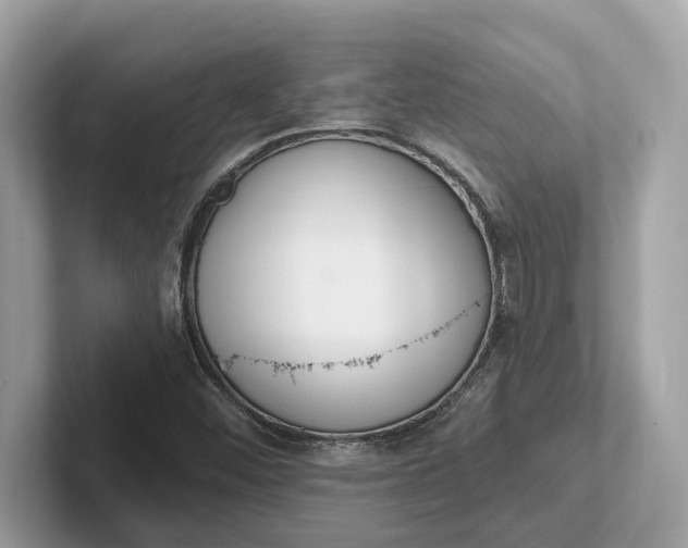 X0000101401452200807211024