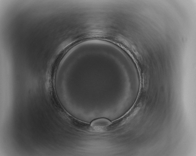 X0000101401453200807211024