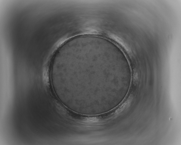 X0000101401455200807211024