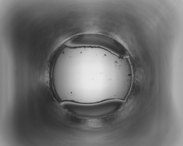 X0000101401456200807211024