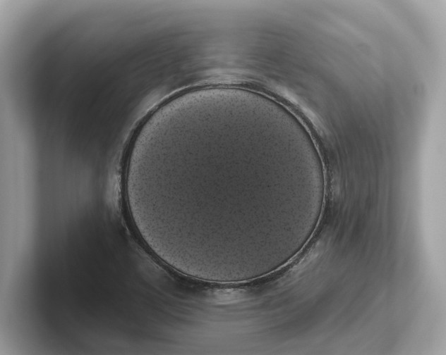 X0000101401459200807211024