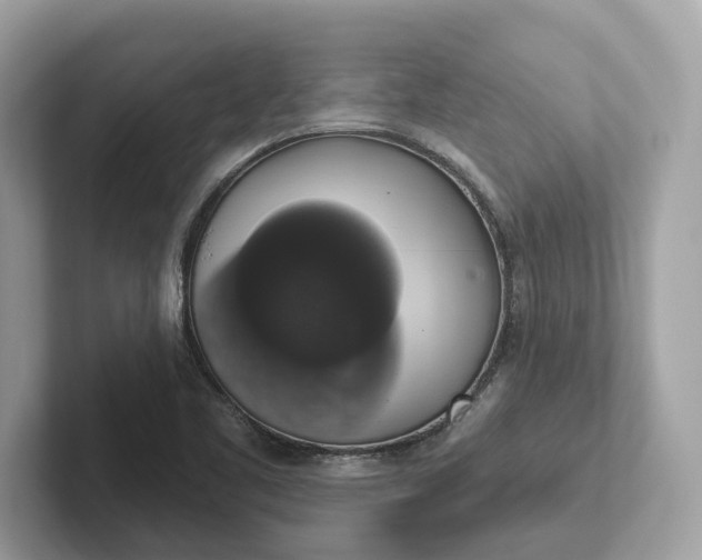 X0000101401461200807211024