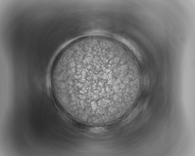 X0000101401462200807211023