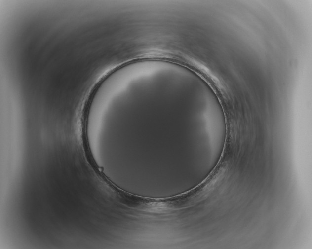 X0000101401463200807211023