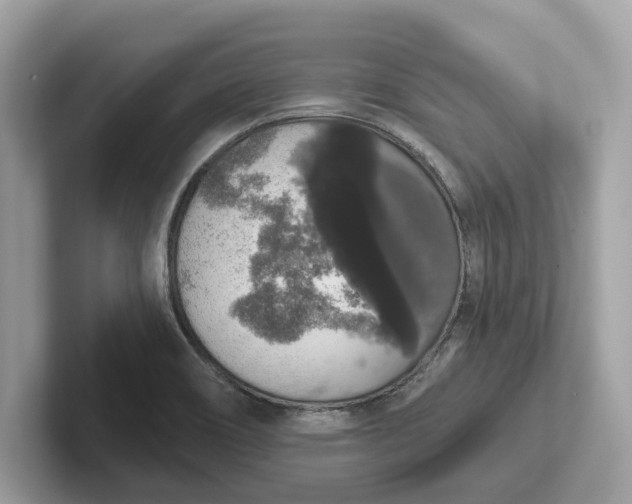 X0000101401466200807211023