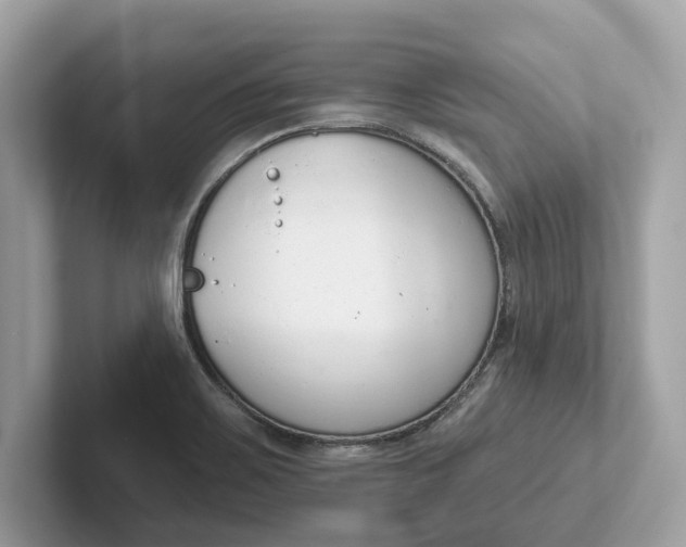 X0000101401467200807211023