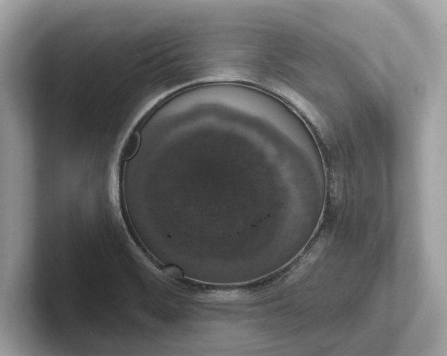 X0000101401468200807211023