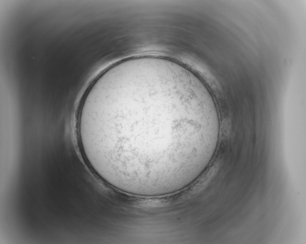 X0000101401470200807211023