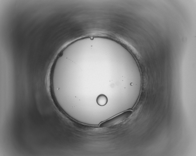 X0000101401471200807211023